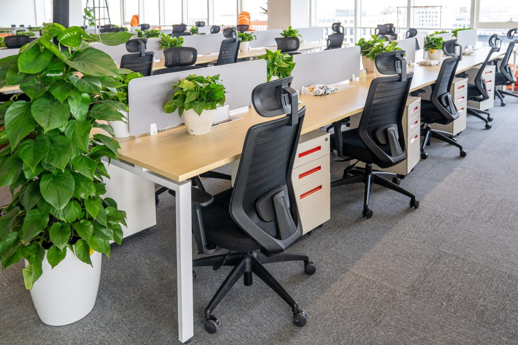 采购案例 | 阿里巴巴集团项目采购案例 特色图片