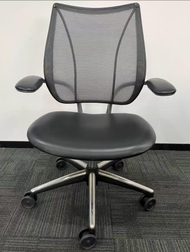 Hunmanscale 优门设 |World (真皮款)人体工学椅办公椅电脑椅特色图片